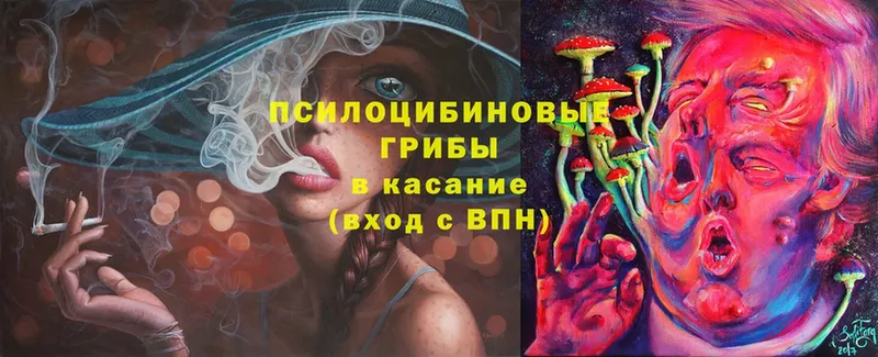 Галлюциногенные грибы MAGIC MUSHROOMS  Фролово 